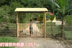 小倩用竹子筑起外“围墙”，并且为桃源居安安上了外“大门”视频封面