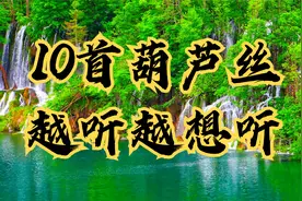 【10首葫芦丝】旋律动人，舒缓放松，越听越想听视频封面