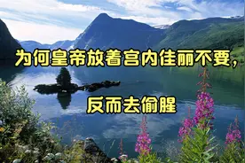 为何皇帝放着宫内佳丽不要，反而去偷腥视频封面
