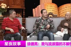 孟凡贵的养猫史，一生没离开过猫，猫咪丢后自动找到家太神奇视频封面