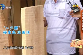 菜板挑选有讲究！柳木菜板、竹菜板、拼接木头菜板，哪种更好？视频封面