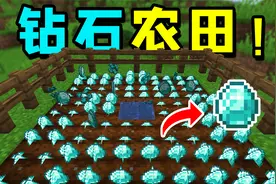 我的世界：这才叫种田！我在MC里种了一片钻石田！