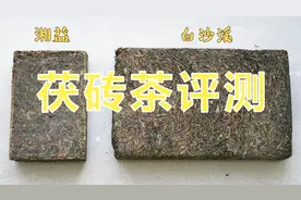 茯砖茶评测：最受欢迎两大黑茶品牌——湘益VS白沙溪，哪个更好？视频封面