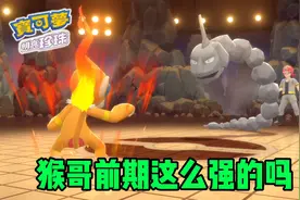 宝可梦明亮珍珠02，猛火猴一拳一个小拳石视频封面