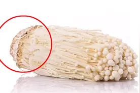 金针菇根部不要丢了，这样利用特别值钱，一年省下好几百，都看看