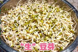 崔妈妈教你在家生豆芽，只要一盆水，简单易学，一看就会视频封面