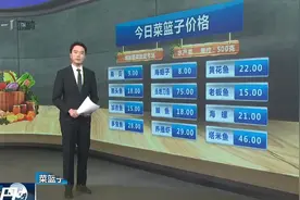 关注青岛菜篮子：鱼类价格涨跌互现，鲅鱼每斤13-22元视频封面