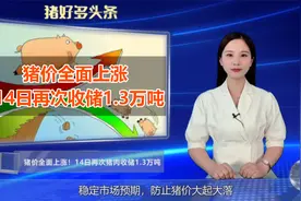 又宣布收储了？14日再次收储1.3万吨，猪价调控效果开始显现....视频封面