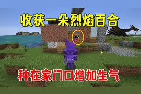 我的世界冰火传说81：收获一朵烈焰百合，种在家门口，增加生气