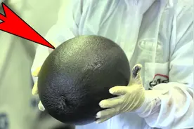 超硬核的“装甲涂料”，喷在西瓜上砸都砸不烂，这是什么高科技？视频封面