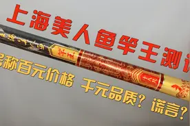 百元价格，千元品质？真噱头还是假实力？——美人鱼竿王测评视频封面