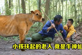 小孩扶起摔倒的老人，谁知老人竟是牛神仙，为报恩送小孩宝贝视频封面