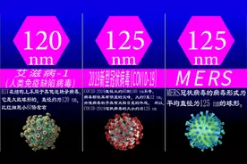 27种病毒的大小形态比较！最大的病毒是新型冠状病毒大小的十倍！视频封面