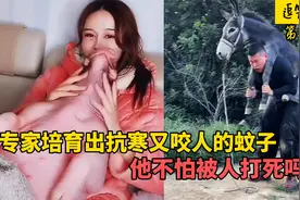 35个很不干人事的欠揍神人，培育出抗寒蚊子，还想靠被狗咬发财？视频封面