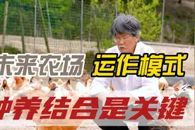 未来农场运作模式，种养结合是关键！视频封面