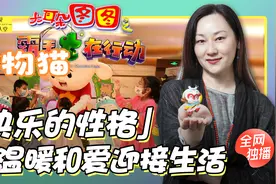 【影视名人堂-导演速达】源于生活 揭秘快乐小孩图图的创作原型视频封面