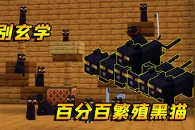 我的世界：被驯服的猫咪，竟能给玩家送礼，一起睡觉！