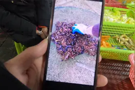 农村这种蜈蚣一斤卖600块 竟然还是美食榜首 小伙直呼不敢吃视频封面