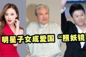 明星子女成爱国照妖镜，应采儿儿子学中文，洪金宝儿子不认识国旗视频封面