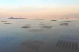 江苏连云港:“海上菜园”紫菜丰收