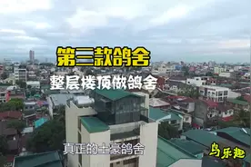 鸽舍建造：3种豪华鸽舍，造价过万，总有一款是你满意的