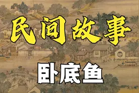 民间故事：卧底鱼视频封面