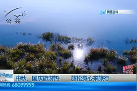 中秋跨省机票价低，火车余票较多视频封面
