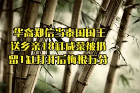 华裔郑信当泰国国王，送乡亲18缸咸菜被扔，留1缸打开后悔恨万分视频封面