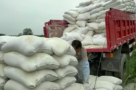 既能改良土地质量，还能优化水稻品种，石灰居然还有这些作用？视频封面