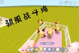 迷你世界教你如何驯服战斗鸡，让它做我们最忠诚的侍卫，为我拼命