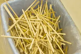 吃饭用完的一次性筷子，最后究竟都去哪儿了？看完你还敢用吗？