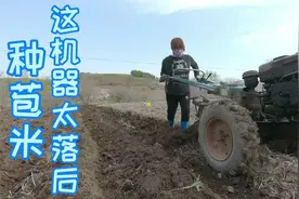 春天播种，秋天收货！广阔天地，大有作为！