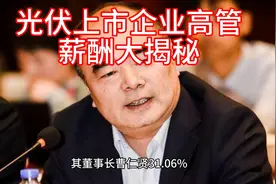 光伏上市企业高管薪酬大揭秘视频封面