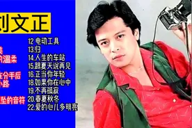 老歌精选：台湾歌坛白马王子刘文正经典歌曲精选20首大联唱
