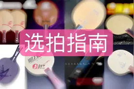 【闭眼购买的10个球拍】只买对的不买贵的，入门超高性价比的底板