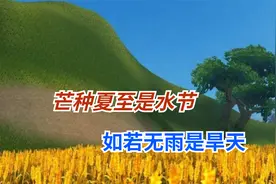 “芒种夏至是水节，如若无雨是旱天”有道理啊吗？视频封面