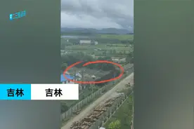 吉林市御龙湾业主反映养鸡场臭味扰民，二三里联系多部门回应视频封面