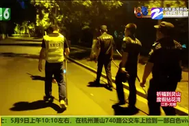 杭州野生动物世界三只金钱豹外逃后续：已找回两只 生命体征平稳视频封面