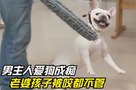 斗牛犬把老婆孩子咬个遍，却被男主人视作掌上珍宝，每晚搂着睡觉