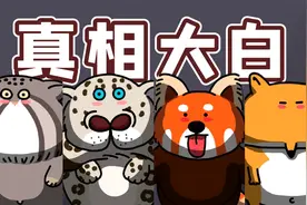 【毛茸茸小剧场】谁偷了绿孔雀的蛋？雪豹到底说的什么？视频封面