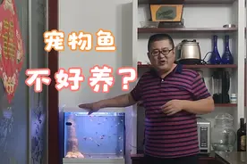缸水白浊是它惹得祸，20个小时，一只变成一亿只，教你两招对付它视频封面