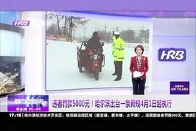 哈尔滨出台一条新规4月1日起执行，违反这项规定的将罚款5000元