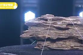 现场品香，1000万的顶级奇楠沉香，烧一次1000块没了！视频封面