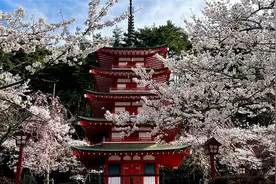 歌で日本語を習う！今日は梦のつづき 玉置浩二 动画版视频封面