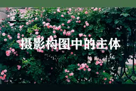 摄影中构图的主体