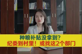 种粮补贴没拿到？监督到村里！视频封面