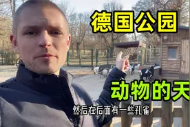 这就是德国的公园？这么多设施而且还免费，跟中国公园差距大吗？视频封面