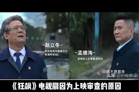 解密《狂飙》未删减版，完整剧情内容。视频封面