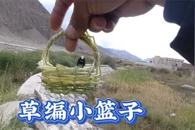 用杂草编了一个小篮子，装上野果和野花，送给谁好呢视频封面