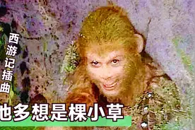 《西游记》试播插曲《他多想是棵小草》，很多人没听过，超好听视频封面